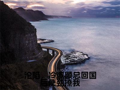沦陷，冷欲顾总回国后使劲撩我小说全文免费阅读顾北承唐初晴免费完整版阅读