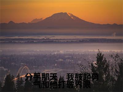 热门小说已完结顾恒之盛音小说无弹窗大结局_顾恒之盛音分手那天,我鼓起勇气和他打破界限全文阅读大结局