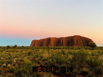 仕途红人之驭娇有术秦天明在线阅读全文试读小说（ 秦天明尹雪晚）全文免费阅读结局-仕途红人之驭娇有术秦天明在线阅读全文试读强推全文阅读无弹窗