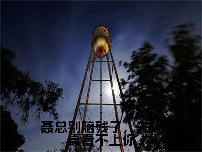 小说聂总别脑残了,夫人真看不上你全文免费阅读无弹窗大结局_(颜晴聂穆琛)全文在线阅读