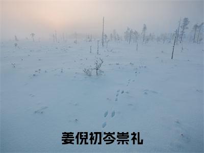 岑崇礼姜倪初小说（姜倪初岑崇礼）全文免费阅读_姜倪初岑崇礼最新章节列表笔趣阁（岑崇礼姜倪初）