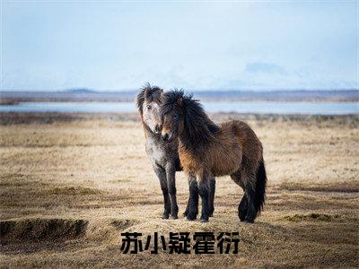 霍衍苏小疑(苏小疑霍衍)免费小说全文完整版-苏小疑霍衍最新章节完整版阅读