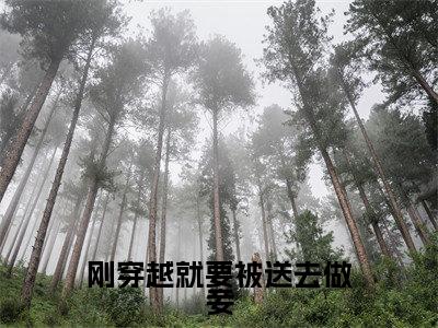 小说(刚穿越就要被送去做妾)在线赏析_傅宝宜元钰txt小说在线阅读笔趣阁