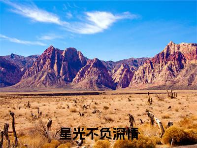 星光不负深情精彩小说赏析全文 黎茉顾泽漆热门小说免费阅读
