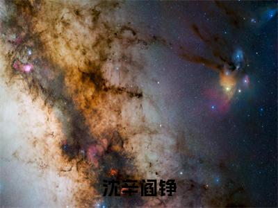 沈辛阎铮小说全文免费阅读无弹窗大结局_(沈辛阎铮)阎铮沈辛最新章节列表笔趣阁(阎铮沈辛)