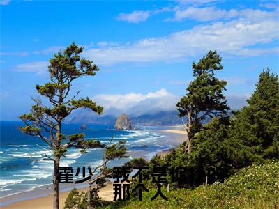霍少，我不是你找的那个人（景欢霍森）全文免费阅读无弹窗大结局_(霍少，我不是你找的那个人)免费阅读无弹窗最新章节列表_笔趣阁（景欢霍森）