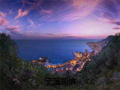 宁溪司决(司决宁溪)全文免费阅读无弹窗大结局_宁溪司决全文免费阅读最新章节列表_笔趣阁(司决宁溪)