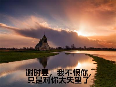 谢时晏柳朝意(谢时晏,我不恨你,只是对你太失望了)全文免费阅读无弹窗大结局_(谢时晏,我不恨你,只是对你太失望了无弹窗)最新章节免费阅读_笔趣阁