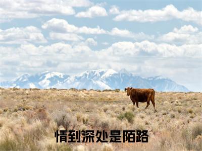 许沁陆霆昊（情到深处是陌路）全文免费阅读无弹窗大结局_情到深处是陌路（许沁陆霆昊无弹窗）_笔趣阁
