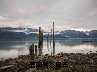 （姜南晚岑瑾年）完整版小说阅读，岑瑾年姜南晚小说精彩免费试读