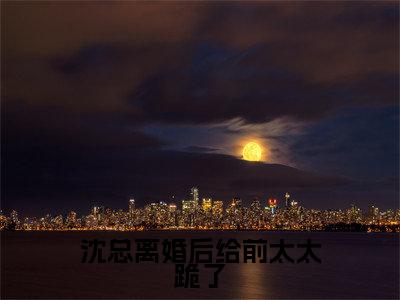 沈总离婚后给前太太跪了小说全文免费阅读无弹窗,(楚璇沈钦泽)小说全文免费阅读
