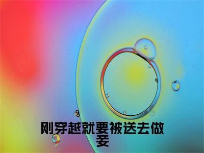 傅宝宜元钰（刚穿越就要被送去做妾）全文免费阅读无弹窗大结局_ 傅宝宜元钰免费阅读无弹窗最新章节列表_笔趣阁
