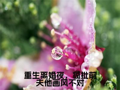 重生离婚夜，疯批前夫他画风不对小说最新章节（谢宴时黎雪卿）全文免费阅读无弹窗大结局_谢宴时黎雪卿免费阅读（重生离婚夜，疯批前夫他画风不对小说）