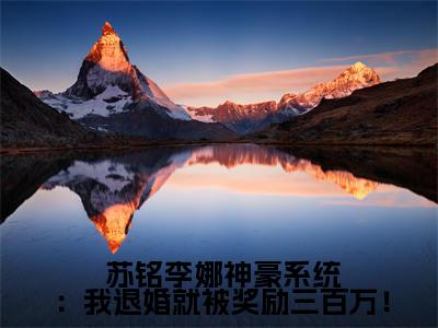 苏铭李娜神豪系统：我退婚就被奖励三百万！免费阅读无弹窗 小说 苏铭李娜最新章节