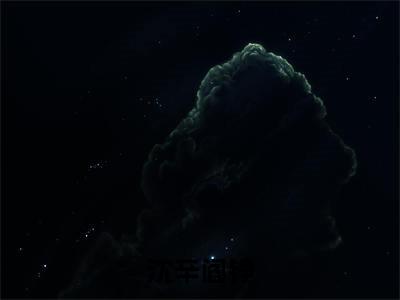 沈辛阎铮小说（阎铮沈辛）全文免费阅读_（沈辛阎铮小说）阎铮沈辛小说精彩在线赏析