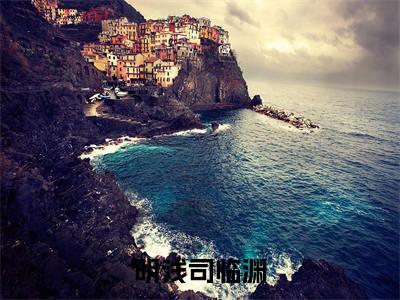 司临渊明浅(明浅司临渊)全网首发小说-小说明浅司临渊(司临渊明浅)完整版全文在线赏析