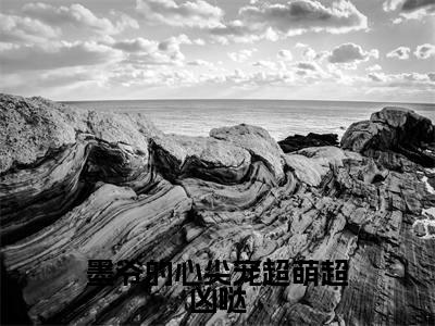 墨凛沈幼薇小说(墨爷的心尖宠超萌超凶哒)全文免费阅读_墨爷的心尖宠超萌超凶哒最新章节列表笔趣阁(墨凛沈幼薇)
