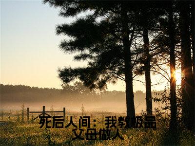 死后人间：我教极品父母做人（ 柳木阳柳多多）小说全文免费阅读无弹窗-死后人间：我教极品父母做人小说全文免费阅读大结局笔趣阁