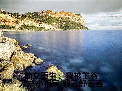  舒云舒云姜免费小说,嫡女重生：我被王爷宠成小祖宗全文免费阅读无弹窗大结局