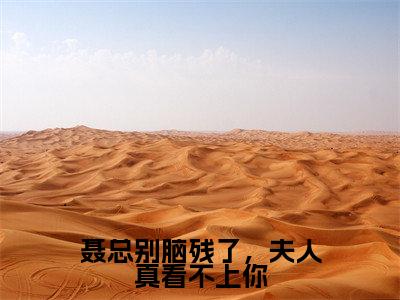 聂总别脑残了,夫人真看不上你(颜晴聂穆琛)全文免费阅读无弹窗大结局_颜晴聂穆琛小说最新章节列表_笔趣阁