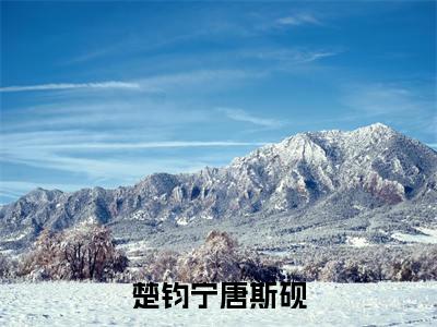 主角为唐斯砚楚钧宁的小说-楚钧宁唐斯砚(唐斯砚楚钧宁)全文最新完整版阅读