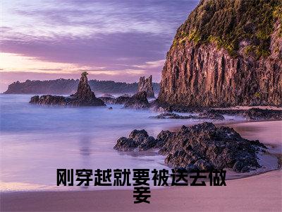 刚穿越就要被送去做妾(傅宝宜元钰)全文免费阅读_刚穿越就要被送去做妾(傅宝宜元钰)最新章节列表笔趣阁