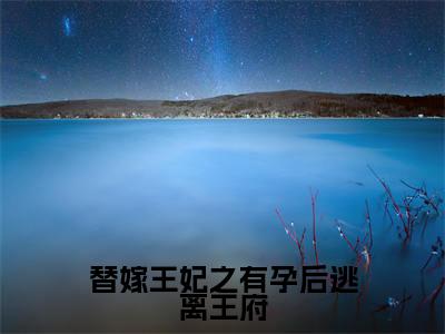 陆泽渊南明珠小说(替嫁王妃之有孕后逃离王府)全文免费阅读无弹窗大结局_(替嫁王妃之有孕后逃离王府)陆泽渊南明珠小说最新章节列表_笔趣阁(陆泽渊南明珠小说)