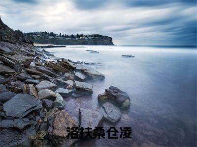 11(仓凌洛扶桑)全文免费阅读无弹窗大结局_(仓凌洛扶桑全文免费)洛扶桑仓凌最新章节列表(仓凌洛扶桑)