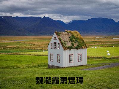 魏凝霜萧煜璋（萧煜璋魏凝霜）全文完整版免费阅读_萧煜璋魏凝霜（魏凝霜萧煜璋全文免费阅读）最新章节列表_笔趣阁