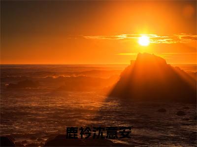 鹿衿沈意安小说全文(沈意安鹿衿)免费阅读全文无弹窗大结局_ 沈意安鹿衿免费阅读无弹窗小说_笔趣阁