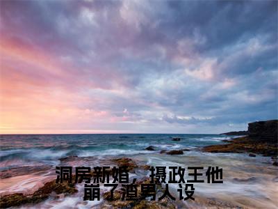 （洞房新婚，摄政王他崩了渣男人设）全文免费阅读无弹窗大结局_（沈屏锦晏绝阅读无弹窗）洞房新婚，摄政王他崩了渣男人设最新章节列表_笔趣阁