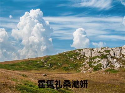 霍隽礼桑沁妍（霍隽礼桑沁妍）全文免费阅读_霍隽礼桑沁妍最新章节小说免费阅读_笔趣阁