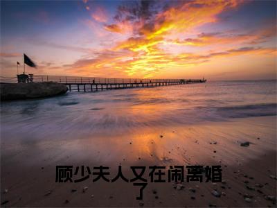 《顾少夫人又在闹离婚了完整小说》闵月西顾子年完结版全章节阅读