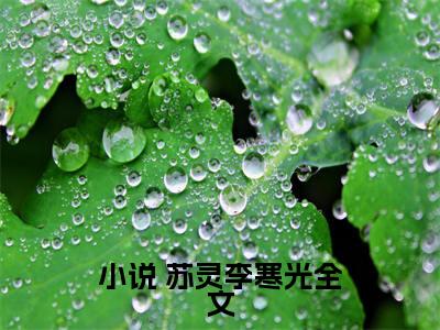  苏灵李寒光全文免费阅读大结局-攒了三世功德后，我有了咸鱼系统最新章节列表笔趣阁