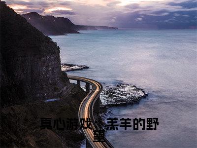 真心游戏：羔羊的野望（ 绮绮黎奈）小说最新推荐- 绮绮黎奈真心游戏：羔羊的野望小说在线分享
