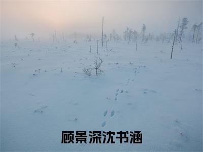 (顾景深沈书涵)最新免费小说大结局-小说顾景深沈书涵沈书涵顾景深全文免费在线阅读