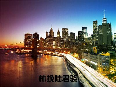 林挽陆君骁(陆君骁林挽)小说全文免费阅读大结局-林挽陆君骁免费阅读无弹窗大结局
