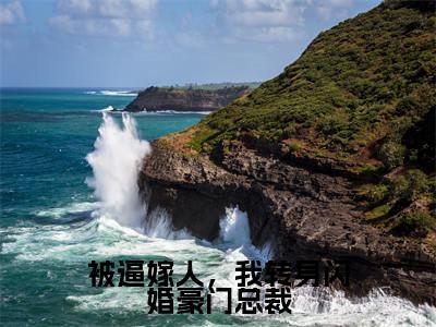 姜西霍时寒(被逼嫁人,我转身闪婚豪门总裁)全文小说免费阅读-姜西霍时寒最新章节列表_笔趣阁