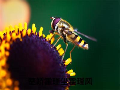 楚娇霍瑾尘霍瑾风(霍瑾尘霍瑾风楚娇)全文免费阅读无弹窗大结局_ (霍瑾尘霍瑾风楚娇小说免费阅读)最新章节列表_笔趣阁