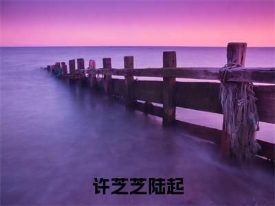 许芝芝陆起(陆起许芝芝免费阅读无弹窗)陆起许芝芝最新章节列表_笔趣阁