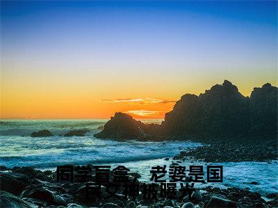 沈青青江帆精彩小说-同学盲盒，老婆是国民女神被曝光全章节免费阅读