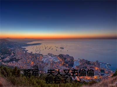 陆黔渊苏卿月小说-将军,夫人又去偷偷幽会了!最新章节全文阅读