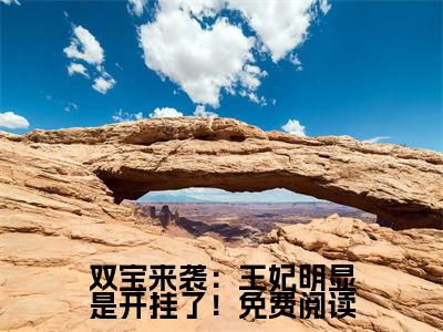 双宝来袭：王妃明显是开挂了！（ 李侧妃香菱小说）全文免费阅读无弹窗大结局_双宝来袭：王妃明显是开挂了！小说 李侧妃香菱列表_笔趣阁( 李侧妃香菱小说）
