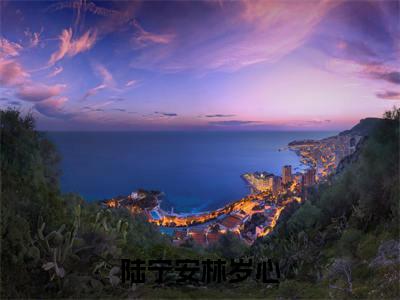 陆宁安林岁心(陆宁安林岁心)免费阅读无弹窗大结局_(陆宁安林岁心)陆宁安林岁心最新章节列表_笔趣阁