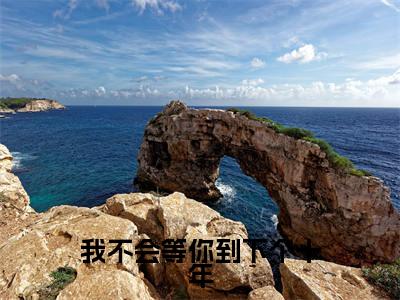 我不会等你到下个十年(洛曦晴顾辞琛)抖音热推小说全集无删减,洛曦晴顾辞琛小说在线免费阅读大结局