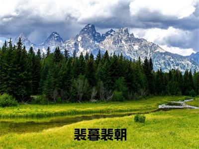 裴暮裴朝（裴朝裴暮）免费阅读无弹窗大结局_裴暮裴朝小说（裴朝裴暮）免费阅读最新章节列表（裴朝裴暮）