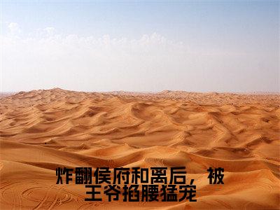 炸翻侯府和离后,被王爷掐腰猛宠全文免费在线阅读_(陆博初安七恩全文免费阅读无弹窗大结局)炸翻侯府和离后,被王爷掐腰猛宠最新章节列表笔趣阁