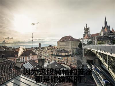 因为这段感情和宠溺都是她偷来的(夏慕棠商憬寒)全文免费阅读无弹窗大结局_因为这段感情和宠溺都是她偷来的热门小说最新章节阅读