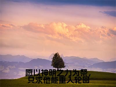 愿以神明之力为祭，只求他能重入轮回（朝曦司重光）小说-愿以神明之力为祭，只求他能重入轮回小说免费最新章节列表