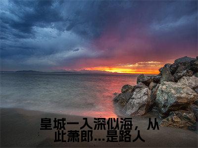 皇城一入深似海,从此萧郎...是路人免费阅读-(皇城一入深似海,从此萧郎...是路人)全文免费阅读无弹窗大结局(白以凝陆尘霁)最新章节列表_笔趣阁